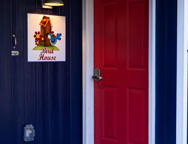 emilyskibaphotography_birdhouse-6