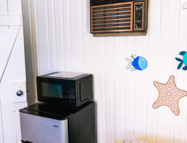 emilyskibaphotography_reef-14