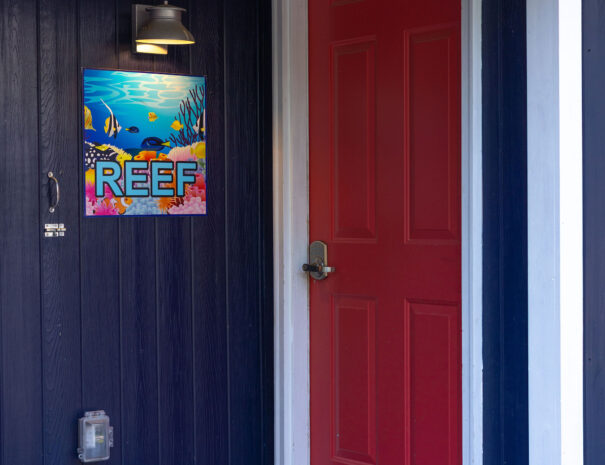 emilyskibaphotography_reef-2