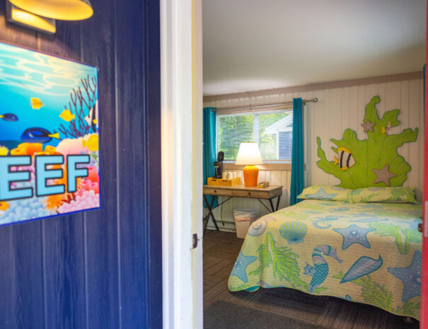 emilyskibaphotography_reef-3