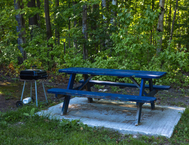 emilyskibaphotography_reef-7