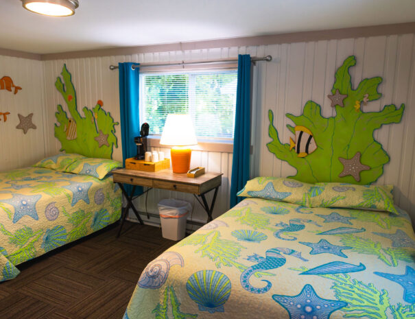 emilyskibaphotography_reef-8