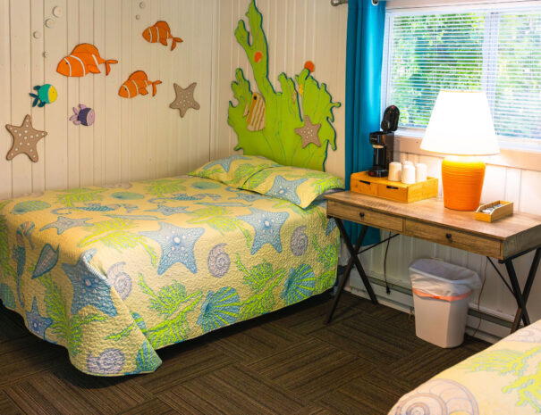 emilyskibaphotography_reef-9