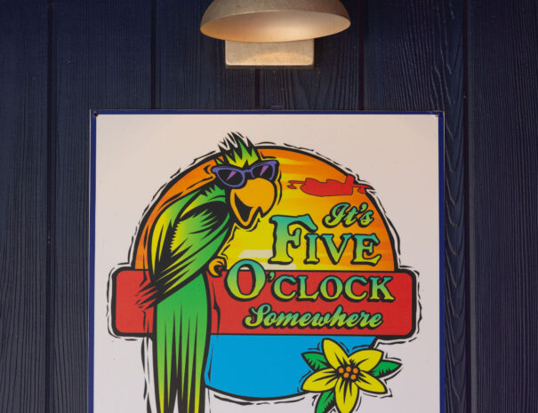 emilyskibaphotography_5oclocksomewhere-1