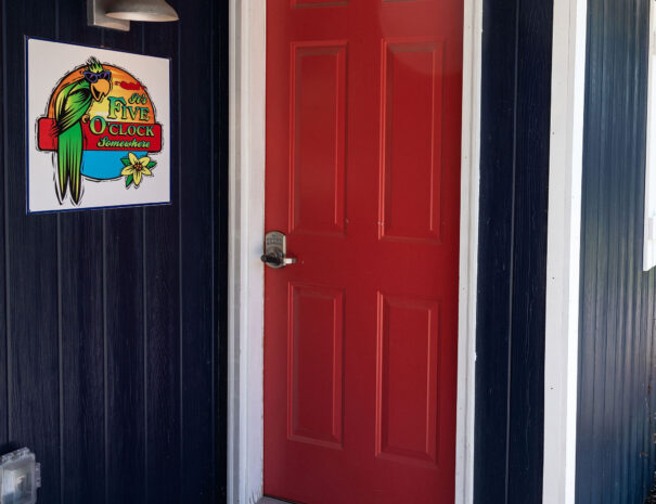 emilyskibaphotography_5oclocksomewhere-2