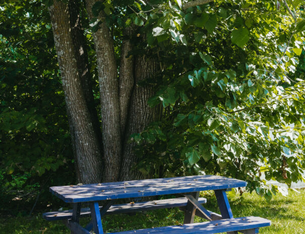 emilyskibaphotography_5oclocksomewhere-4